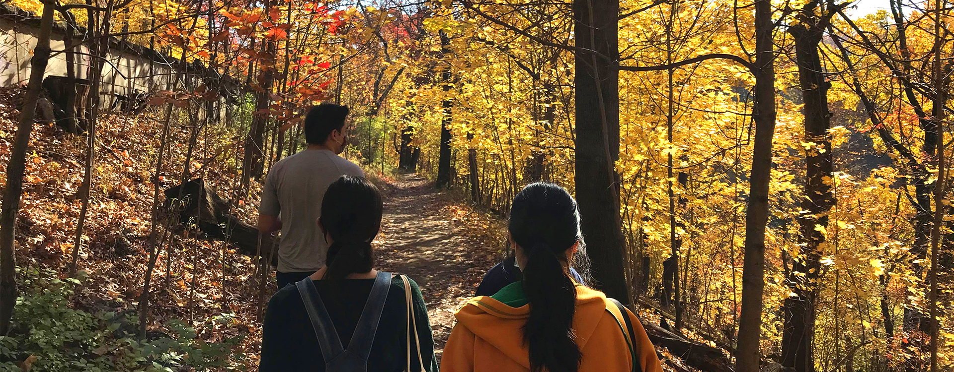 Schenley park hike